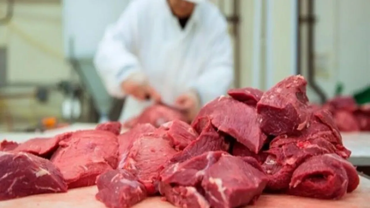 Restorancılar Birliği: İthal et kesinlikle düşünülmüyor