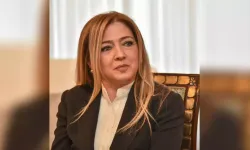 Ombudsman Varol, gece kulüplerine ilişkin soruşturma başlattı