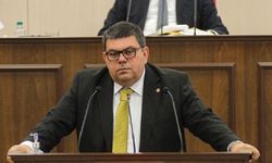 Özdemir Berova: Hükümetin ortaya koyduğu politikalar sonucunda 