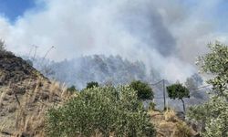 Limasol’daki büyük yangının tazminatları bu ay içinde ödenmeye başlıyor