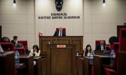 Meclis Genel Kurulu'nda Kıbrıs sorunu ve eğitim tartışıldı