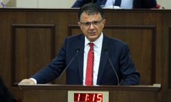 Meclis'te 'Kıbrıs Türk Devleti' konuşuldu...