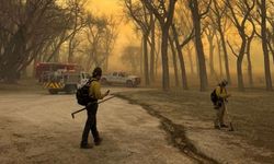 Teksas'ta orman yangını: Nükleer silah tesisi kapatıldı