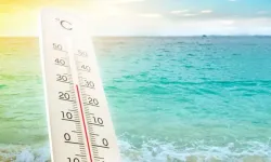 Uzmanlar uyardı: Yazın sıcaklık rekoru kırılacak