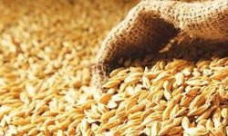 TÜK, yemlik arpanın Çarşamba günü gelmesinin beklendiğini açıkladı