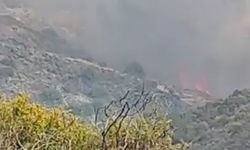 Limasol’da sabah başlayan orman yangını kontrol altına alınamıyor