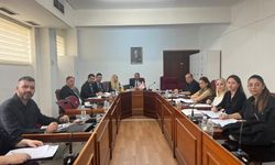 Meclis İdari, Kamu ve Sağlık İşleri Komitesi toplandı