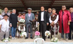 Antalya'da iki eşeğe nikah kıyıldı: Traktörle balayına gönderildiler