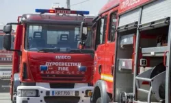 Yer Güney Kıbrıs... Binden fazla yeni doğmuş küçükbaş hayvan telef oldu