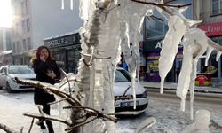 Doğuda zor sabah: Sıcaklık -32,6 dereceye düştü, tüm ilçe buz kesti!