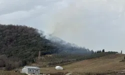 Yalova ve Aydın'da orman yangını