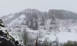İlkbaharda kış geri döndü: Erzurum'a lapa lapa kar yağdı