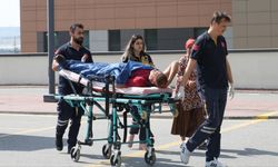 Türkiye'de acemi kasaplar hastanenin yolunu tuttu