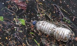 Yeşil Barış Hareketi: Doğal dengeleri ve iklimi alt-üst eden plastik kirliliğine son