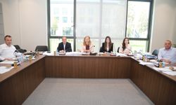 Meclis Maliye Komitesi gündemindeki yasa tasarıları ve yasa gücünde kararnameyi görüştü