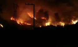 Bursa’da orman yangınına ilişkin 4 gözaltı