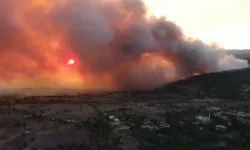 Çankırı'da orman yangını: Ekipler bölgede