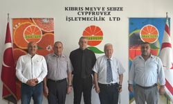 Çavuş: Cypfruvex borçsuz ve sürdürülebilir bir yapıya kavuşturuldu