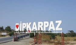 Karpaz Koruma Derneği Başkanı Çebi'den adil politika çağrısı