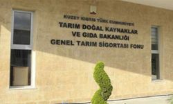 "Son 5 yılda yerli ürünlerde yüzde 5,27’ye, ithal ürünlerde yüzde 6,53’e varan kirlilik tespit edildi"