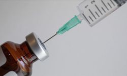 Dünyada 304 milyon insan hepatit B veya C ile yaşıyor