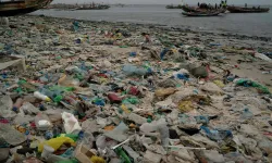 Plastik sorunu büyüyor: Cenevre müzakerelerinde yine anlaşma sağlanamadı