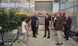 KTSO heyeti, Zonguldak’ta topraksız tarım uygulamalarını inceledi