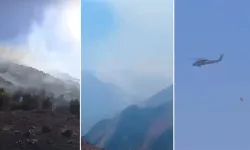 Hakkari'de orman yangını: Yüksekova'da alevlerle mücadele sürüyor
