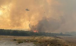 Çanakkale'de iki ayrı noktada orman yangını