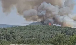 Çanakkale ve İzmir'de orman yangını
