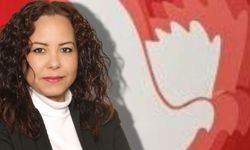 Ece Balcı: Yol güvenliği; mühendislik ve eğitim birlikte yürütülmelidir