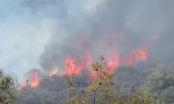 Girne'de Ciklos mevkiinde çıkan yangına müdahale ediliyor...