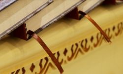 Cambridge Sözlüğü'ne yeni kelimeler eklendi
