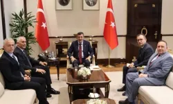 Türkiye Cumhurbaşkanı Yardımcısı Cevdet Yılmaz, Olgun Amcaoğlu'nu kabul etti