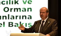 Cumhurbaşkanı Tatar: Her bebek için bir fidan dikiyoruz