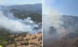 Balıkesir'de orman yangını: Kısa sürede büyüdü