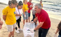 Deniz Kaplumbağaları Koruma ve Araştırma Projesi yıl sonu etkinliği yapıldı
