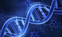 Polisin DNA örneği almasını anayasaya uygun buldu