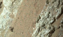 NASA: Mars'ta bulunan leopar benekli kaya, gezegendeki en net yaşam belirtisi olabilir