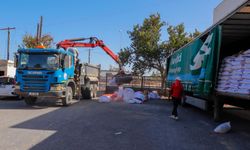 Gazimağusa'daki baharat operasyonunda yeni gelişme