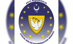Başbakanlık AB Koordinasyon Merkezi: “Kayıp şahıslar konusu siyaset üstü tutulmalı”