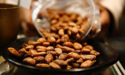 Bir fincan kakaonun erkekler için şaşırtıcı sağlık faydası