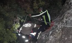 Dağyolu'nda uçurumdan yuvarlanan TIR'ın şoförü: “Cinler sür dedi, ben de sürdüm”
