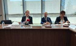 Komitedeki bütçe görüşmeleri devam ediyor