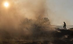 Limasol ve Baf bölgesinde yangın