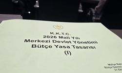 Kamu Hizmeti Komisyonu Başkanlığı bütçesi oy birliğiyle kabul edildi