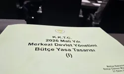 Maliye Bakanlığı bütçesi komitede oy çokluğuyla kabul edildi…