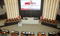 Güvenlik Kuvvetleri Komutanlığı bütçesi oy birliğiyle onaylandı