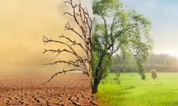 Kıbrıs’ta iklim değişikliği ve taşkınlar konulu seminer düzenleniyor