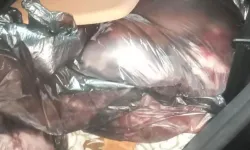 Kamyonetten 195 kilo kaçak et çıktı!